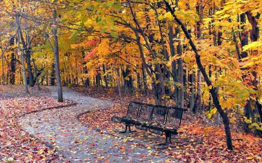 1111524 (a): :1920x1200